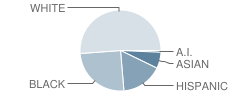 Monocacy Middle School Student Race Distribution