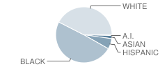 Joppatowne High School Student Race Distribution