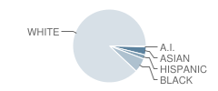 C. Milton Wright High School Student Race Distribution