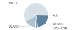 Mount Hebron High School Student Race Distribution