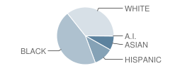 Oakland Mills High School Student Race Distribution