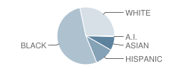 Running Brook Elementary School Student Race Distribution