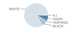 West Friendship Elementary School Student Race Distribution