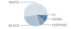 Reservoir High School Student Race Distribution