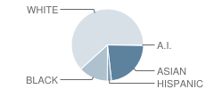 Ellicott Mills Middle School Student Race Distribution