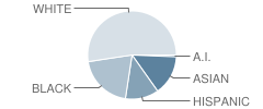 Deep Run Elementary School Student Race Distribution