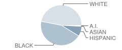 H. H. Garnett Elementary School Student Race Distribution