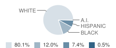 Galena Middle School Student Race Distribution