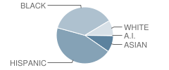 Brookhaven Elementary School Student Race Distribution