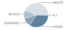 Diamond Elementary School Student Race Distribution