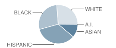 Gaithersburg High School Student Race Distribution