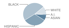 Georgian Forest Elementary School Student Race Distribution