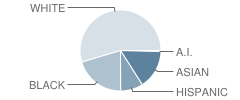 Sherwood Elementary School Student Race Distribution