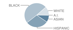 Strathmore Elementary School Student Race Distribution