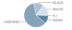 Viers Mill Elementary School Student Race Distribution