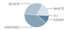 Whetstone Elementary School Student Race Distribution