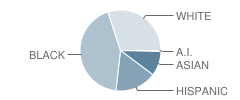 James Hubert Blake High School Student Race Distribution