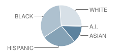 Lake Seneca Elementary School Student Race Distribution