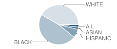 Baden Elementary School Student Race Distribution