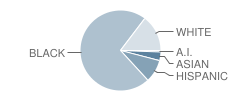 Benjamin Tasker Middle School Student Race Distribution