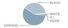 Bladensburg Elementary School Student Race Distribution