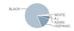 Catherine T. Reed Elementary School Student Race Distribution