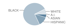 High Bridge Elementary School Student Race Distribution