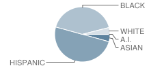 High Point High School Student Race Distribution