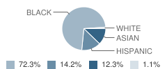 Indian Queen Elementary School Student Race Distribution