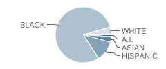 Mattaponi Elementary School Student Race Distribution