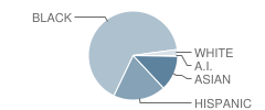 Oxon Hill Elementary School Student Race Distribution