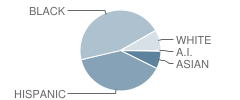 Paint Branch Elementary School Student Race Distribution