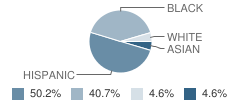 Robert Frost Elementary School Student Race Distribution