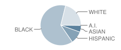 Samuel Ogle Middle School Student Race Distribution