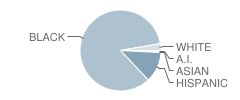 William Beanes Elementary School Student Race Distribution