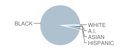 Charles Herbert Flowers High School Student Race Distribution