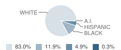 Sudlersville Middle School Student Race Distribution