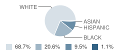 Ridge Elementary School Student Race Distribution