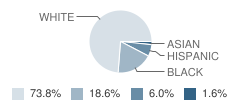 St. Michaels Elementary School Student Race Distribution