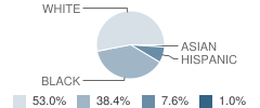 Fountaindale Elementary School Student Race Distribution