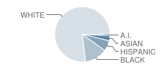 Maugansville Elementary School Student Race Distribution