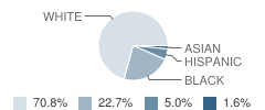 Potomac Heights Elementary School Student Race Distribution