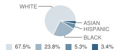 Fruitland Primary School Student Race Distribution