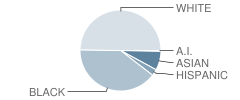 North Salisbury Elementary School Student Race Distribution