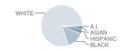 Berlin Intermediate School Student Race Distribution