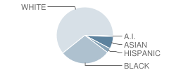 American Montessori Academy Student Race Distribution