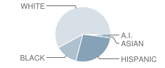 Allendale Elementary School Student Race Distribution