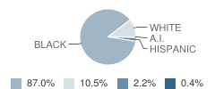 King Academy Student Race Distribution