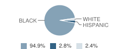 Benton Harbor High School Freshman Academy Student Race Distribution