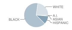 Riddle Elementary School Student Race Distribution